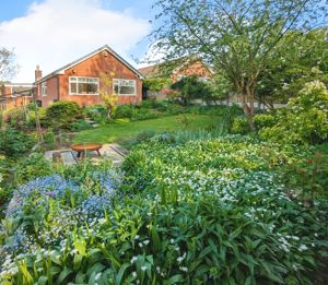 Garden- click for photo gallery